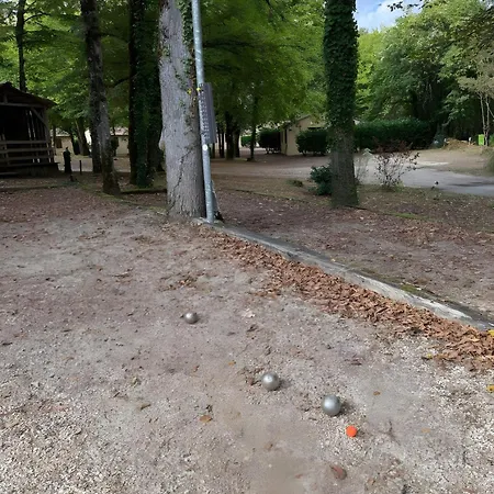 別荘 Mobil-home Les Milandes 22 5pers Calviac-en-Perigord